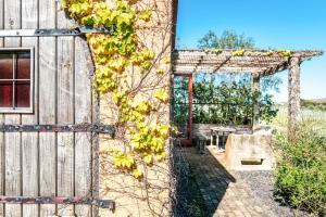 Zahrada ubytování The Vineyard Cottage - Stay Waiheke