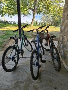 Ποδηλασία στο Kuca za odmor-Zelena Oaza ή στη γύρω περιοχή