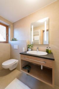 ein Badezimmer mit einem Waschbecken, einem WC und einem Spiegel in der Unterkunft Gasthof-Pension Brauner Hirsch in Alfeld - Mittelfranken in Alfeld