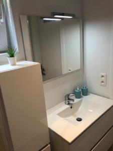 マルメディにあるTerrasses de Malmedy Duplex LEANA LODGE 441の洗面台と鏡のある白いバスルーム