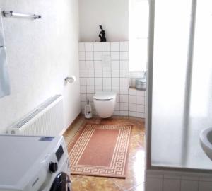 a small bathroom with a toilet and a sink at Ferienwohnung Erzgebirge in Geyer