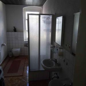 uma casa de banho com um chuveiro, um lavatório e um WC. em Ferienwohnung Erzgebirge em Geyer