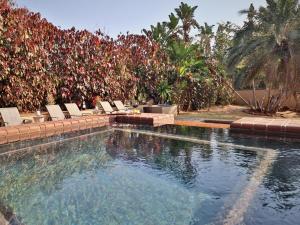 una piscina con tumbonas junto a una valla en Timeless Lodge, en Umkomaas