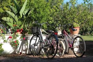 Катання на велосипеді по території Villa di campagna vicino al mare або околицях
