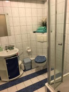 ein Bad mit einer Dusche, einem WC und einem Waschbecken in der Unterkunft Ferienwohnung Rhein-Neckar in Waghäusel