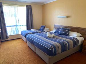 a hotel room with two beds and a window at Donnybrook Motel in Donnybrook