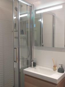 La salle de bains est pourvue d'un lavabo et d'une douche avec un miroir. dans l'établissement Annecy coeur de ville et du lac, à Annecy