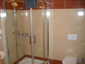 La salle de bains est pourvue d'une douche, de toilettes et d'un lavabo. dans l'établissement Pension Relax, à Pec pod Sněžkou