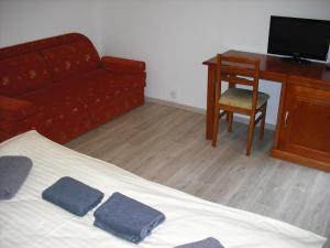 Televízia a/alebo spoločenská miestnosť v ubytovaní Pension Relax