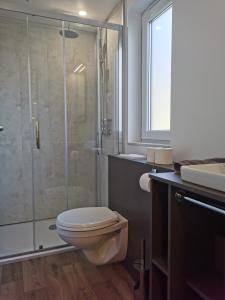 a bathroom with a toilet and a glass shower at Seecamping Berghof - Mobilheime in Landskron
