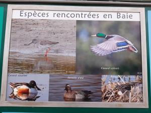 Фотография из галереи L Îlot de la Baie, super studio 4p face à la mer, parking gratuit, wifi, classé 2 étoiles à Fort Mahon Plage, Baie de Somme в городе Фор-Маон-Плаж