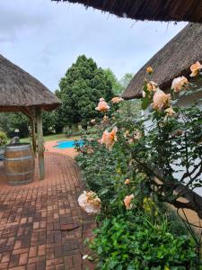 un giardino con un vialetto in mattoni con fiori e un barile di Piccadilly Farm Cottages a Lions River Altre 49 foto