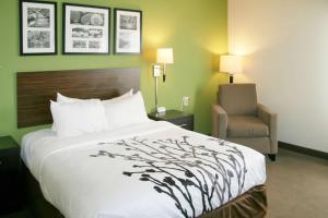 Stony CreekにあるSleep Inn & Suites Stony Creek - Petersburg Southのベッドと椅子付きのホテルルーム