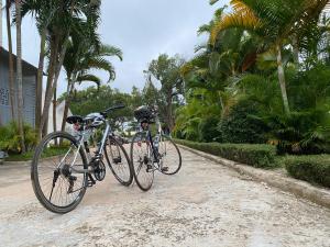 Ciclismo em CENTRAL HOME ou nos arredores