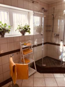 a bathroom with a shower with a glass door at 3 Zimmer Loft mit Sauna & Garten in Ortenberg in Ortenberg