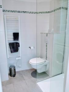 a bathroom with a toilet and a glass shower at An So Nice Flat in Nice