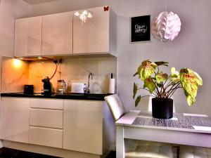 eine Küche mit einem Tisch und einer Topfpflanze in der Unterkunft Apartament Blue Crystal in Jelenia Góra