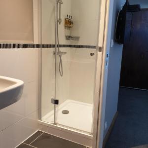 a shower with a glass door next to a sink at The Alpaca B&B in Chaleix