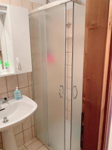 Koupelna v ubytování Bilocale residence LE VOLPI Marilleva 1400