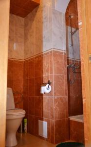y baño con aseo y ducha. en Hotel Imperial 2011, en Yalta