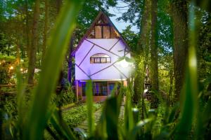 a purple house in the middle of a forest at Los Naranjos Town Houses in Los Naranjos