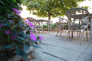 Termálhotel Martfű 5435 Martfű, Ifjúság út 2. kép - 2