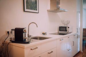 A kitchen or kitchenette at Apartment Auenfeld Widderstein