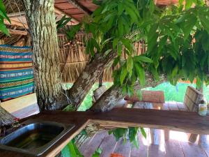 a kitchen with a sink in a tree at The Republic of corn in Jose Maria Morelos