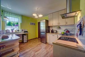 a kitchen with green walls and wooden floors at Sanocka Willa in Sanok