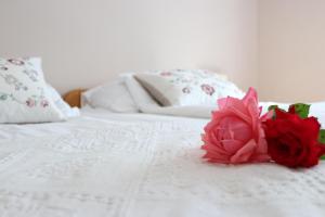 Postel nebo postele na pokoji v ubytování Grape&Wine Guesthouse