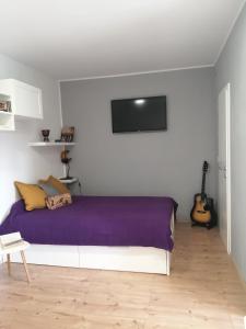 ein Schlafzimmer mit einem Bett mit einer lila Decke in der Unterkunft Studio Apartman ''Nicole'' in Pula