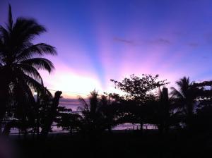 puesta de sol en la playa con palmeras en primer plano en Cabaña Rio Lagarto en Lívingston