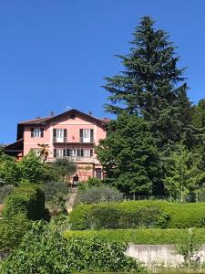 a house on a hill with a large tree at VILLA ADRIANA in Bra