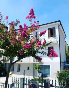 un albero con fiori rosa di fronte a un edificio di Civico21 a Padova