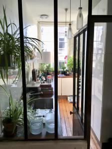 - une cuisine avec un évier et des plantes dans l'établissement The Appart 90m2 au coeur de la vieille ville, à La Rochelle