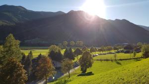 an aerial view of a valley with trees and a mountain at Familiengasthof Maier in Mautern