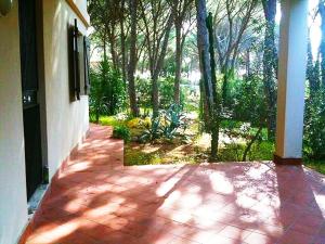 A garden outside Villa Dei Pini IUN S3571