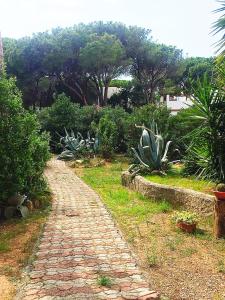 A garden outside Villa Dei Pini IUN S3571