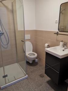 ein Bad mit einer Dusche, einem WC und einem Waschbecken in der Unterkunft Apartma Lesjak - pobeg v naravo in Mozirje