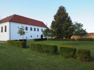 Zahrada ubytování HOTEL CHATEAU ZAMEK CEJKOVICE