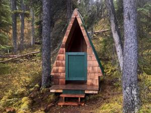 Fotografie z fotogalerie ubytování Vines and Puppies Glamping Hideaway v destinaci Jade City