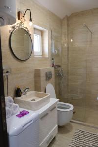 La salle de bains est pourvue d'un lavabo, de toilettes et d'un miroir. dans l'établissement Apartmani Jana 2, à Divčibare