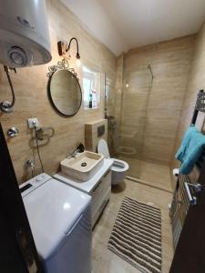 La salle de bains est pourvue d'un lavabo, de toilettes et d'un miroir. dans l'établissement Apartmani Jana 2, à Divčibare