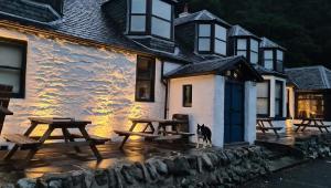 un cane in piedi di fronte a un edificio con tavoli da picnic di The Coylet Inn by Loch Eck a Dunoon