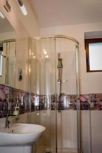een badkamer met een douche en een wastafel bij Willa Anna in Ustroń
