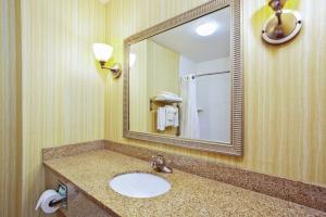 een badkamer met een wastafel en een spiegel bij Holiday Inn Express Hotel & Suites Goshen, an IHG Hotel in Goshen