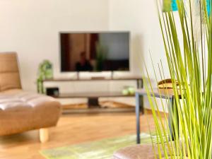 a living room with a television and a couch at Elbflair in Pirna