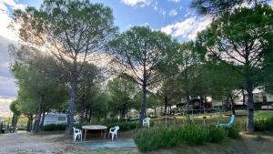 a picnic table and chairs in a park with trees at AGRiCAMPiNG POGGiO Ai PiNi WiNE CAMPiNG in Certaldo