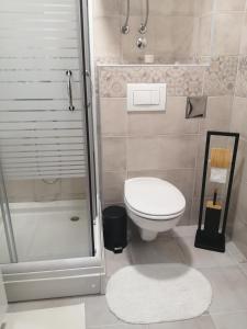 Ένα μπάνιο στο Apartman Radovanović Zlatibor