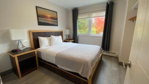 Gallery image of Amber Hotel in Grand Bend